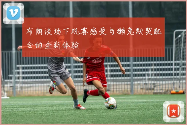 布朗谈场下观赛感受与獭兔默契配合的全新体验