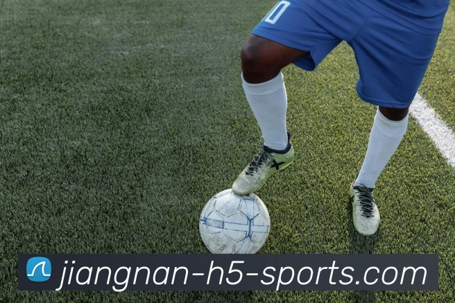 江南体育平台生态图